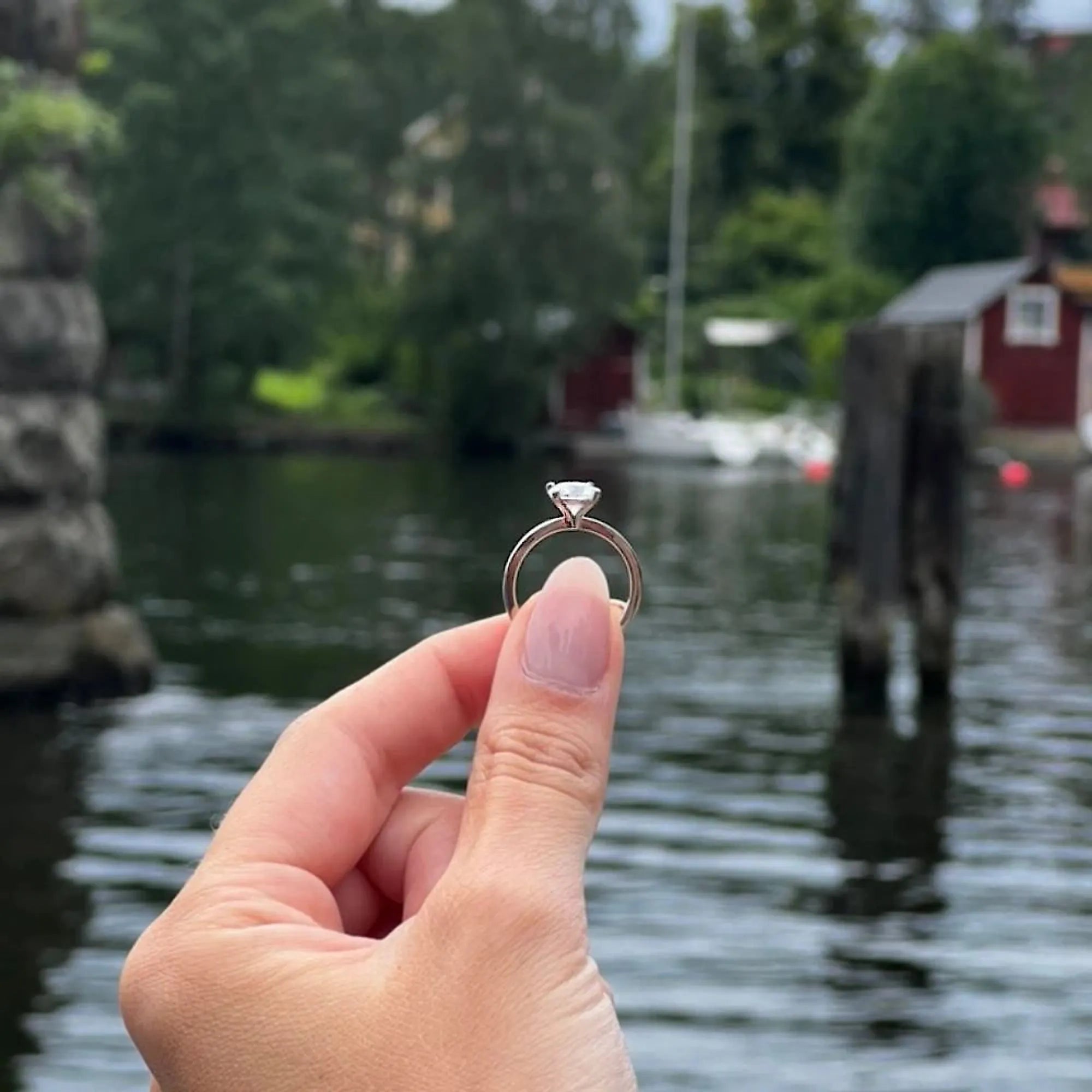 S_NORTH_S4CLBR_Pt950__hand_8