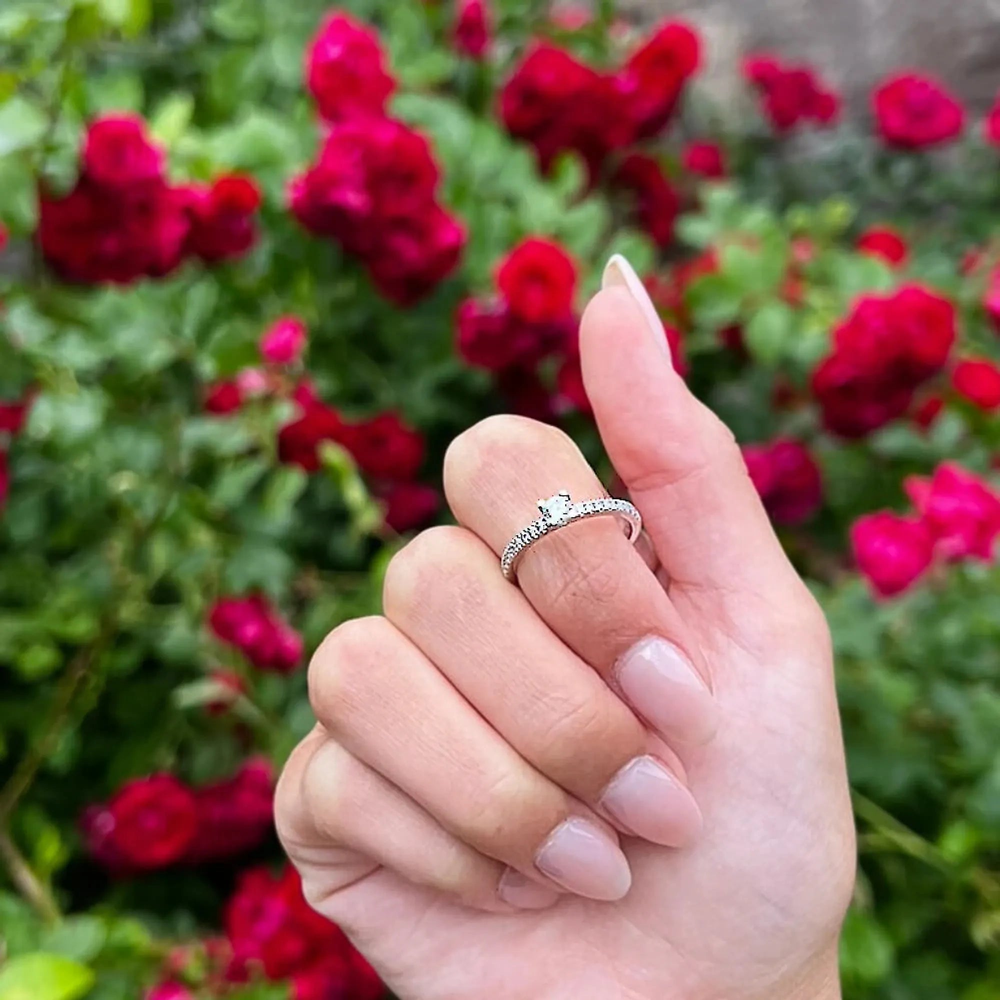 S_NORTH_SOLSIDE_VG18k__hand_5