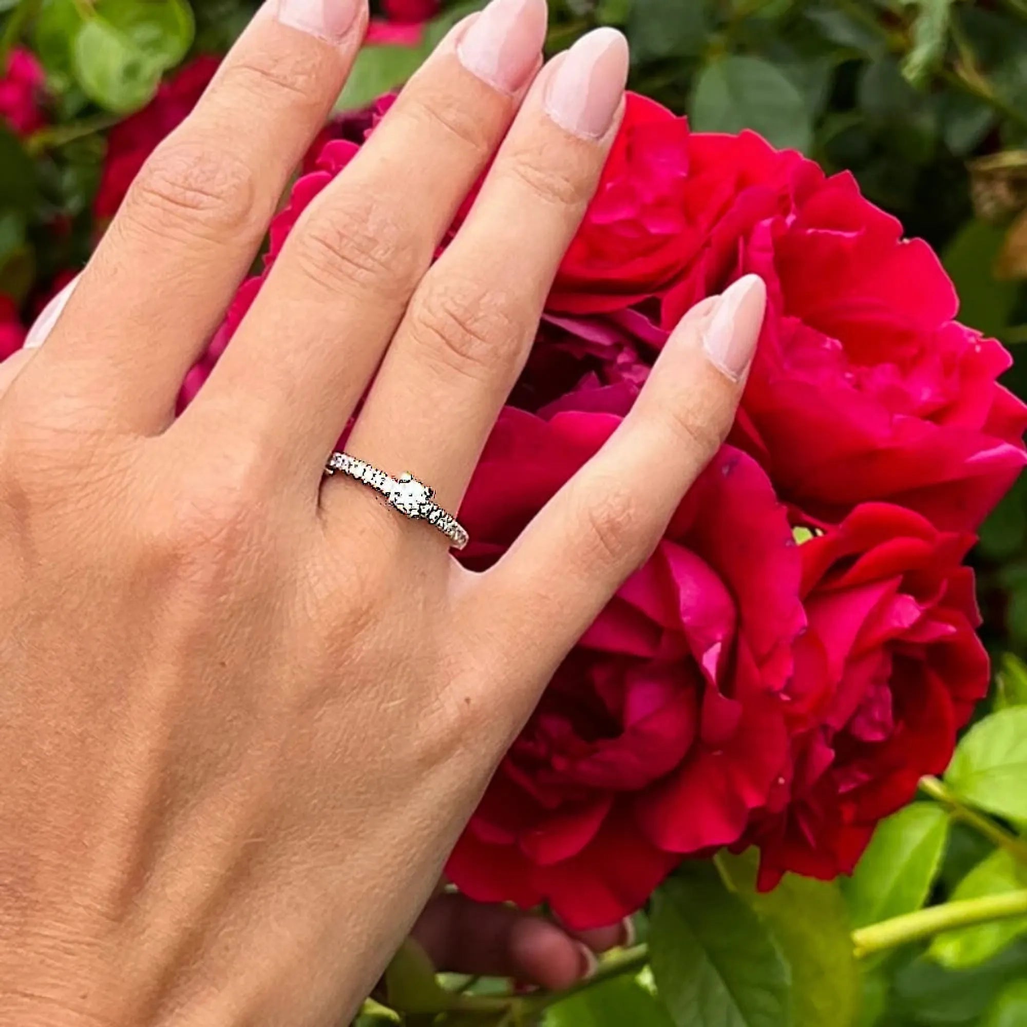 S_NORTH_SOLSIDE_VG18k__hand_6