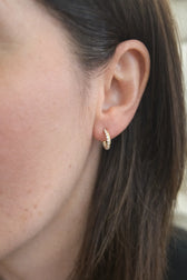 Aure 29D H 0.24-RG18k__contextual_3