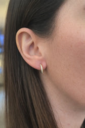 Aure 29D H 0.24-RG18k__contextual_4