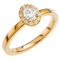 Haloringar