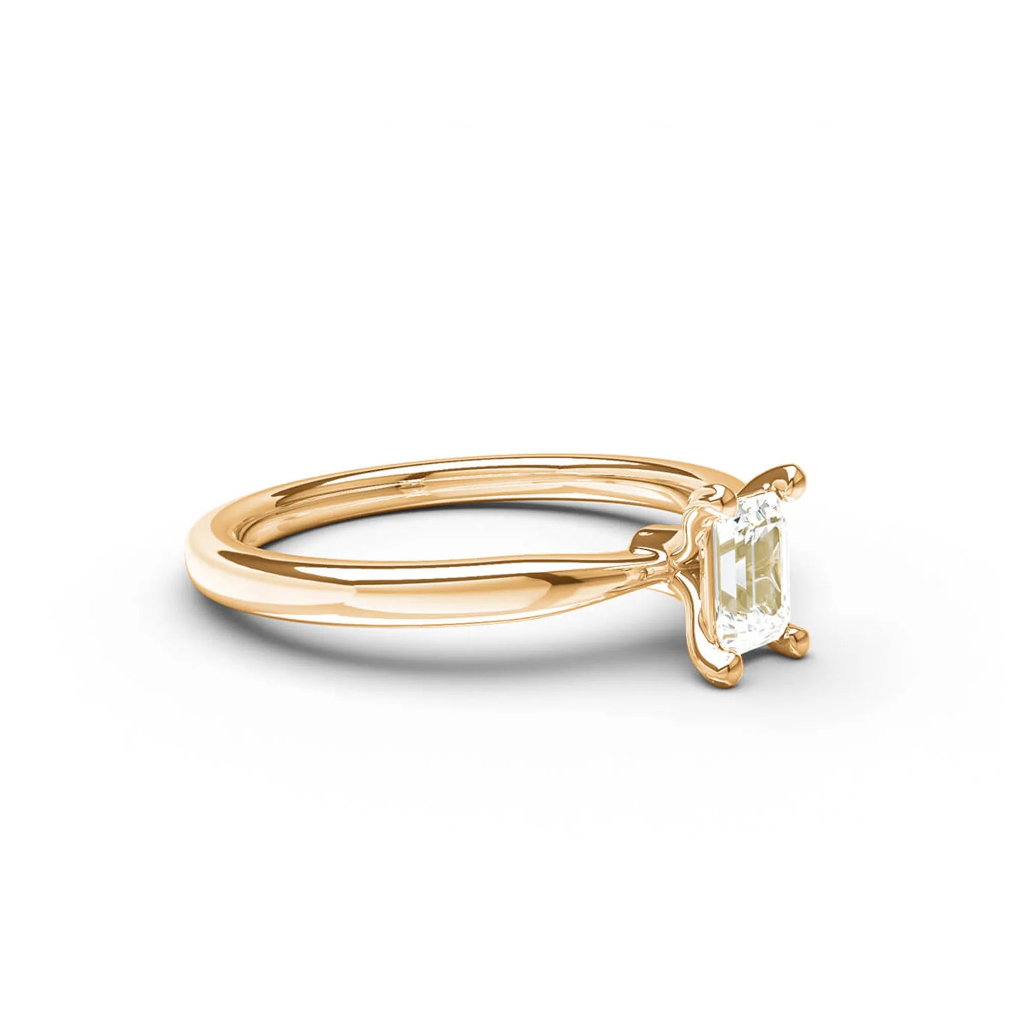 North048-RG18k__product_3