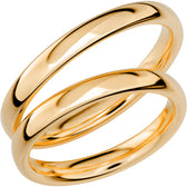 SR1003-3RG18k__productLegacy_1