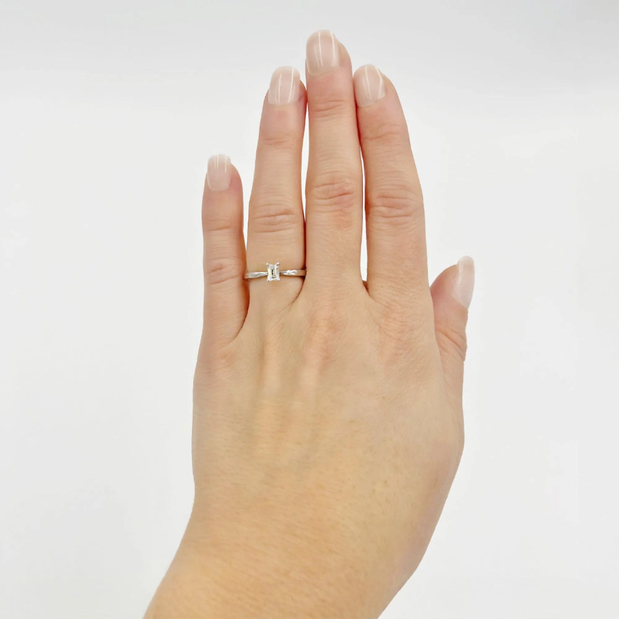 S_NORTH_S4CLEM_VG18k__hand_2