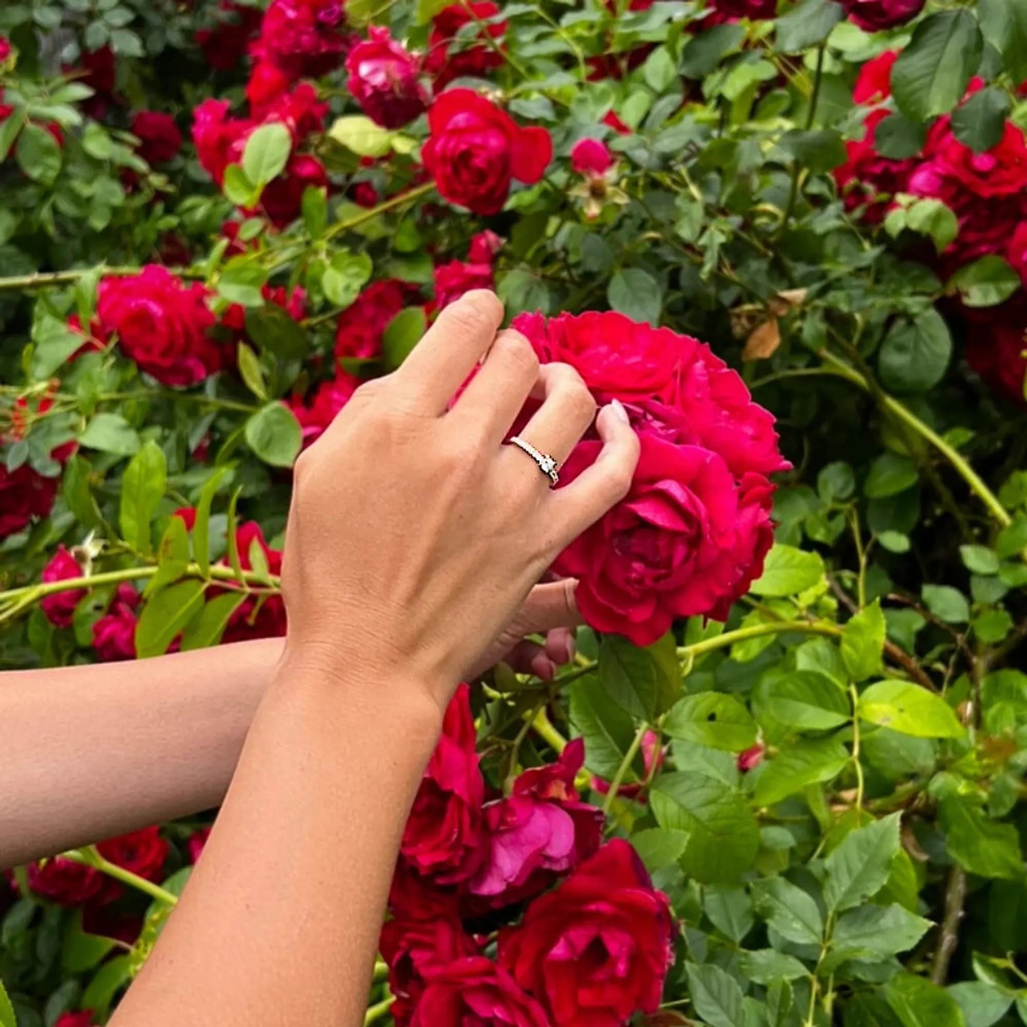 S_NORTH_SOLSIDE_VG18k__hand_7