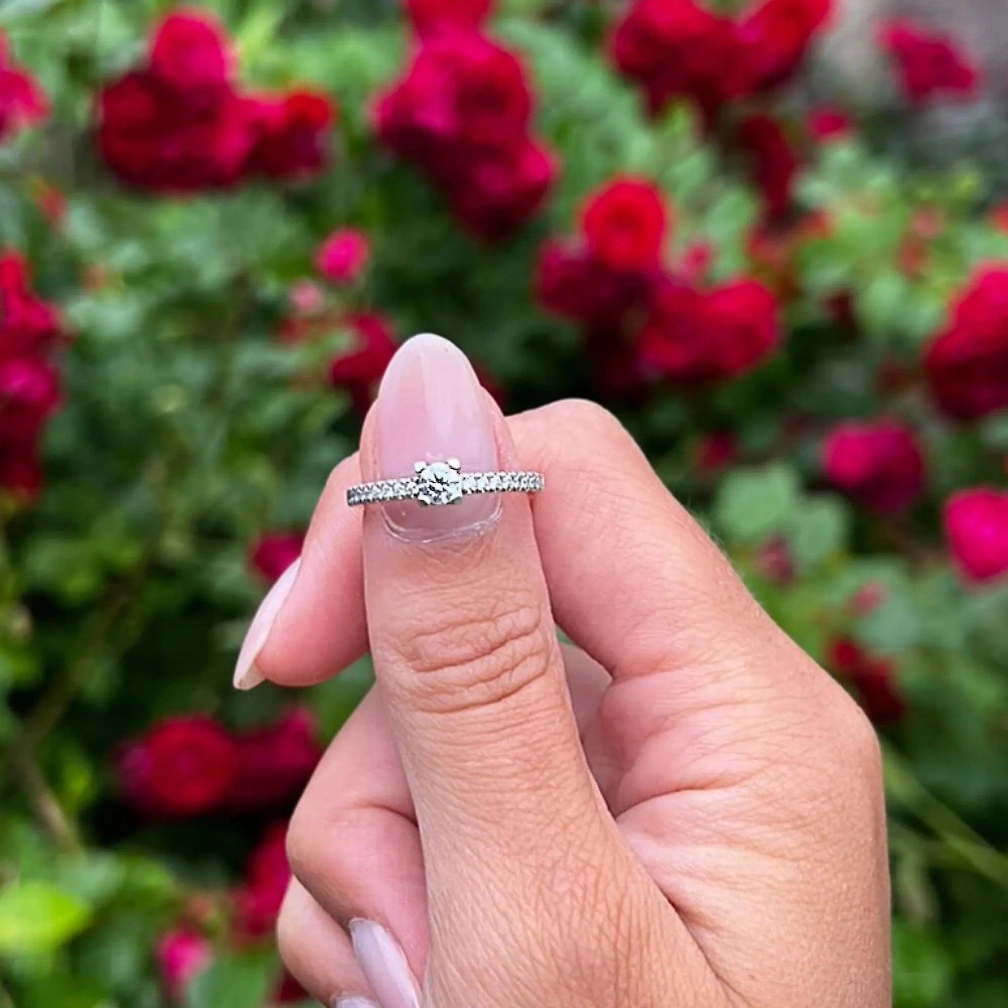 S_NORTH_SOLSIDE_VG18k__hand_9